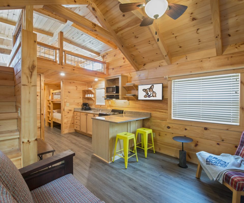 living room area of the Lone Star cabin rental